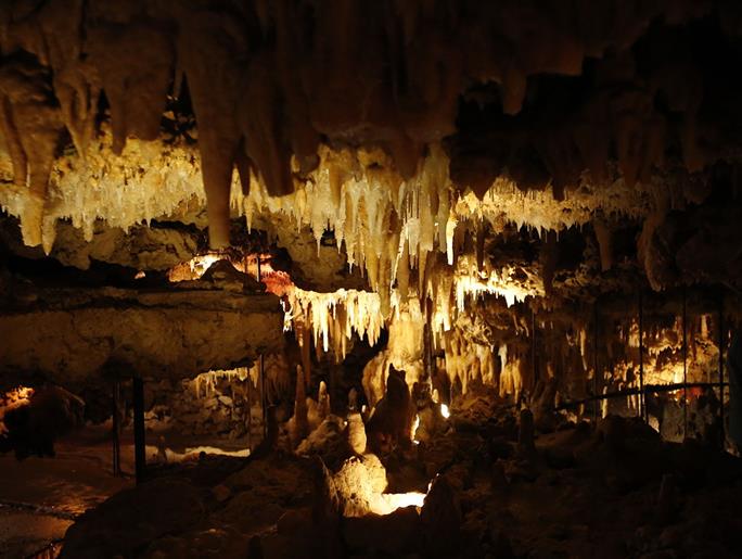 Lascaux proche camping la pelonie en Dordogne