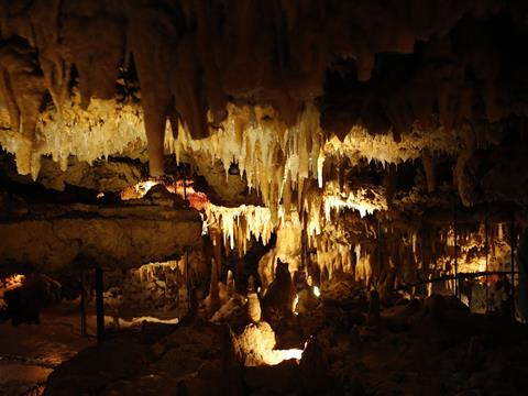 Lascaux proche camping la pelonie en Dordogne - Camping Dordogne