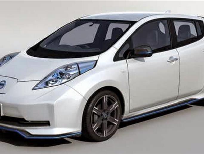 Location voiture électrique Nissan Leaf - Camping La Pélonie