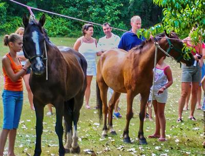 Balade à cheval poney - Camping La Pélonie Dordogne